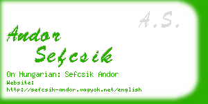 andor sefcsik business card